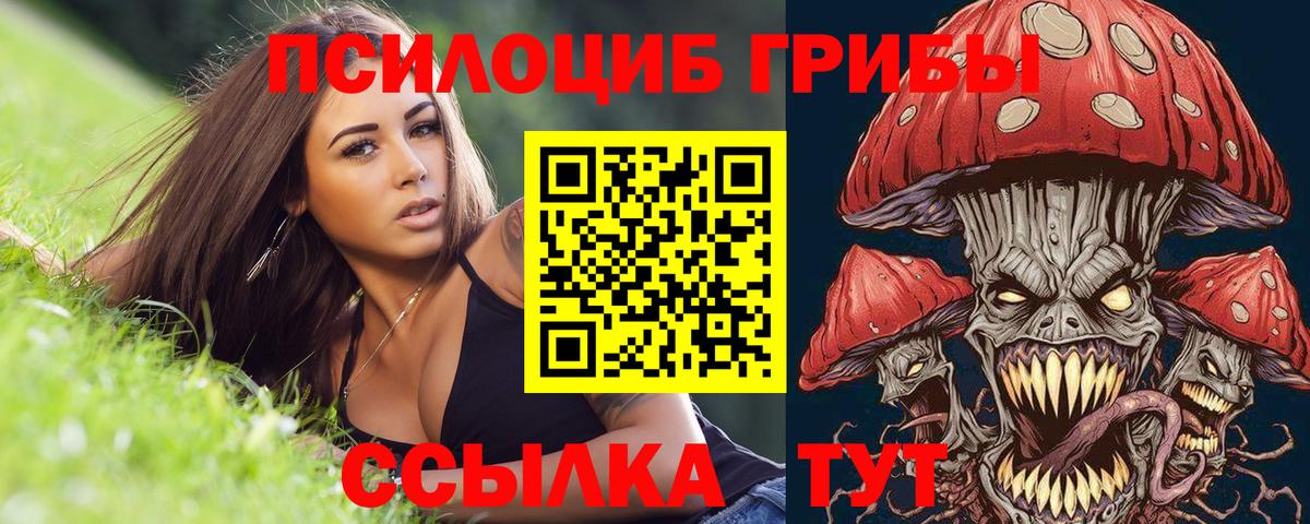 Псилоцибиновые грибы MAGIC MUSHROOMS  Вход с VPN  Красноярск 